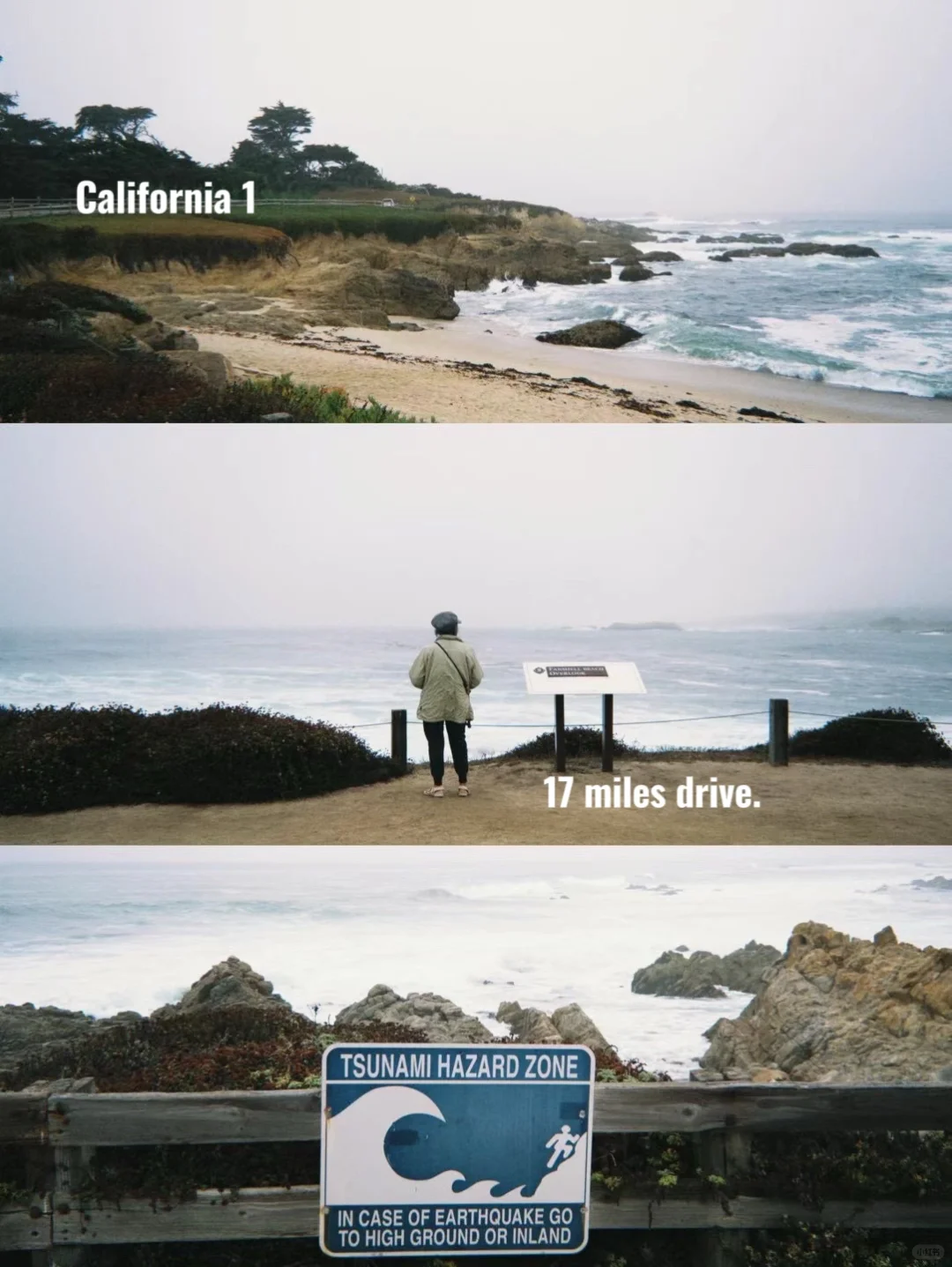 17英里绝美观景台｜California1迷雾海岸仙境