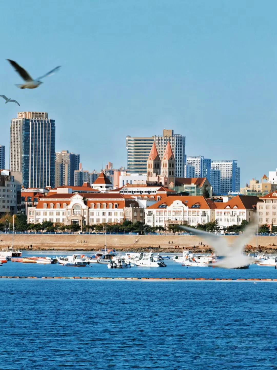 来青岛看海啦！