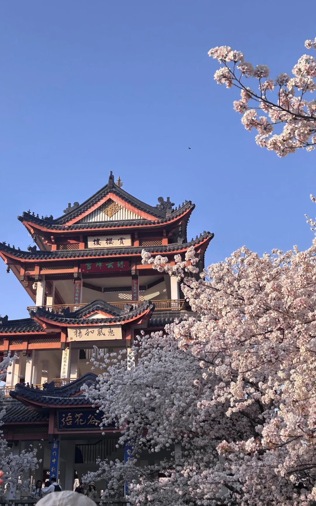 江苏旅游攻略，快来打卡吧！(●´∀｀●)