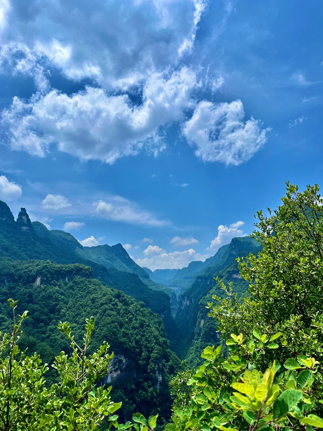 襄阳！你糊涂啊！这么美的仙境你不宣传😭