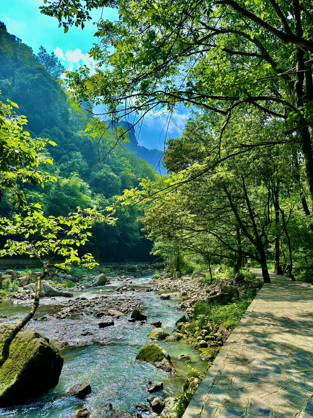 襄阳！你糊涂啊！这么美的仙境你不宣传😭