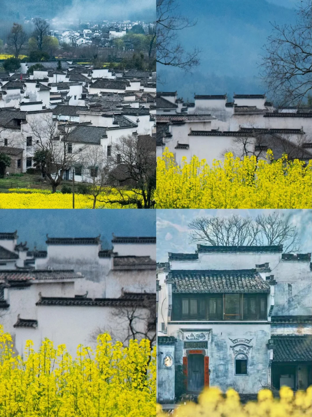 🌈安徽皖南| 3-4月来真的很香，人少景美！