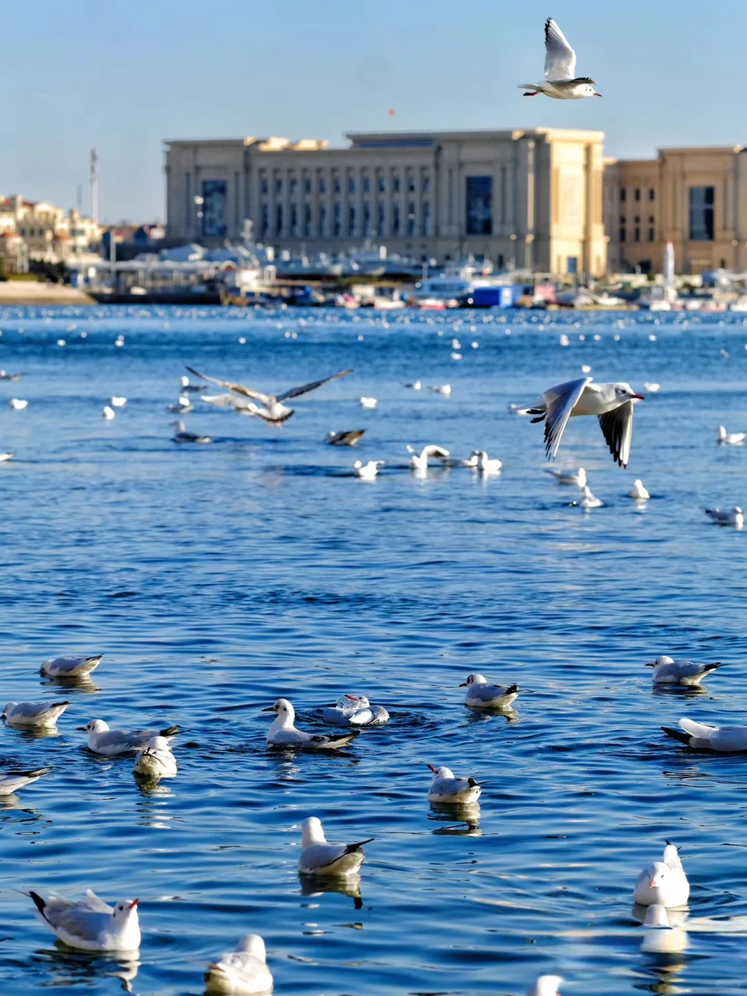 来青岛看海啦！
