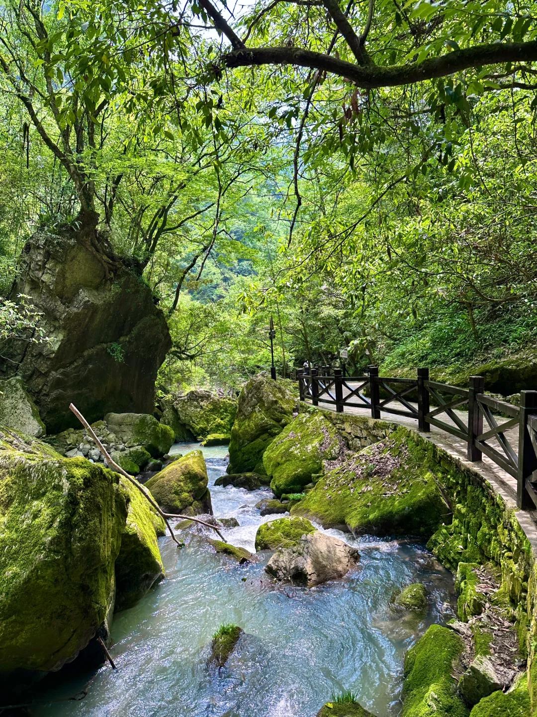 襄阳！你糊涂啊！这么美的仙境你不宣传😭