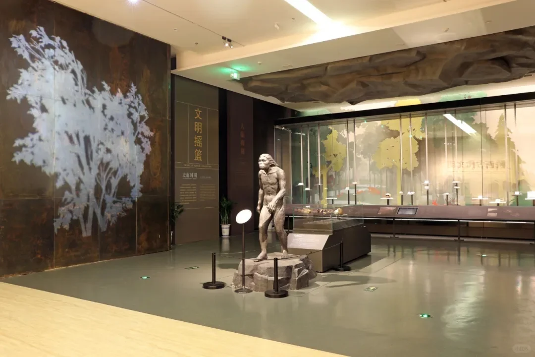 西安旅游必打卡景点——陕西历史博物馆