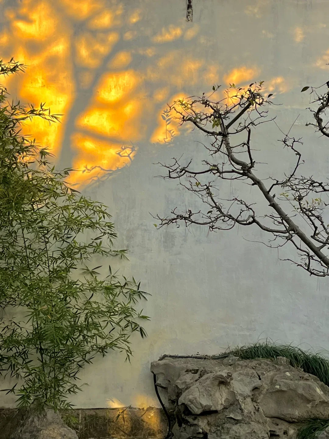 苏州旅行后劲太大了❗️劝退不做攻略的人…