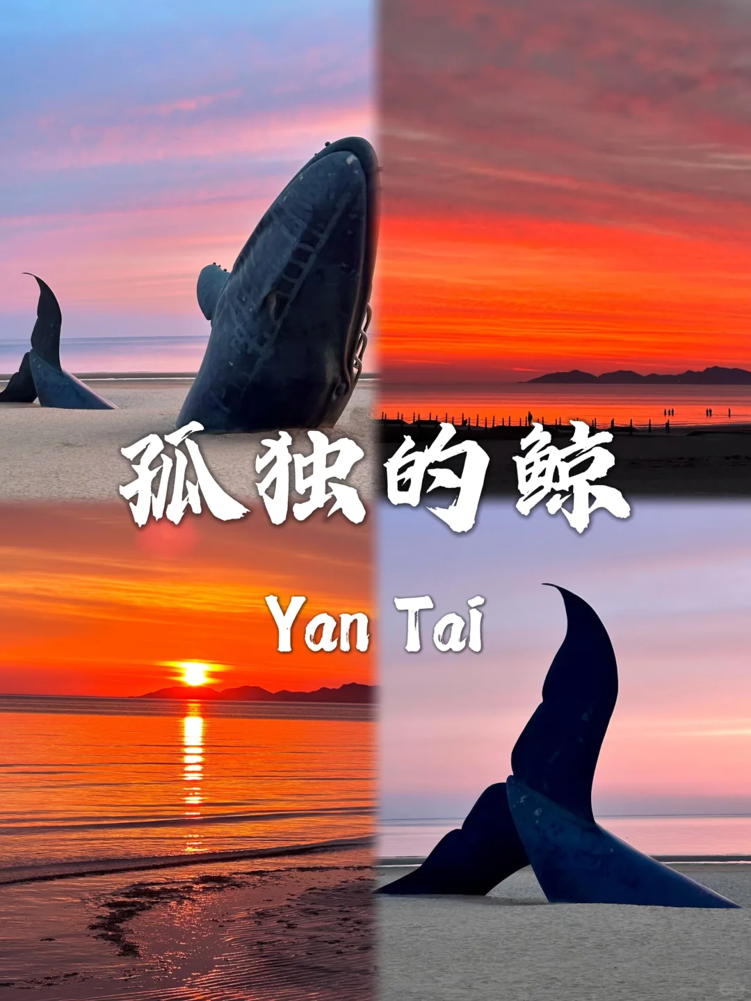 烟台必去九个景点❗❗