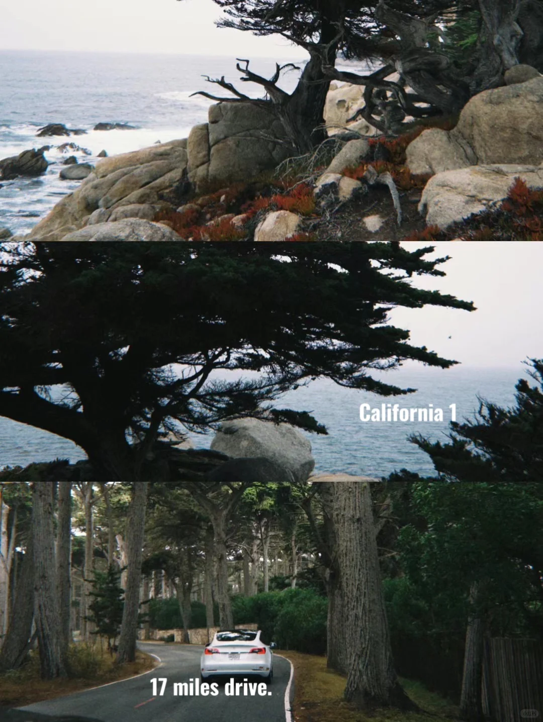 17英里绝美观景台｜California1迷雾海岸仙境