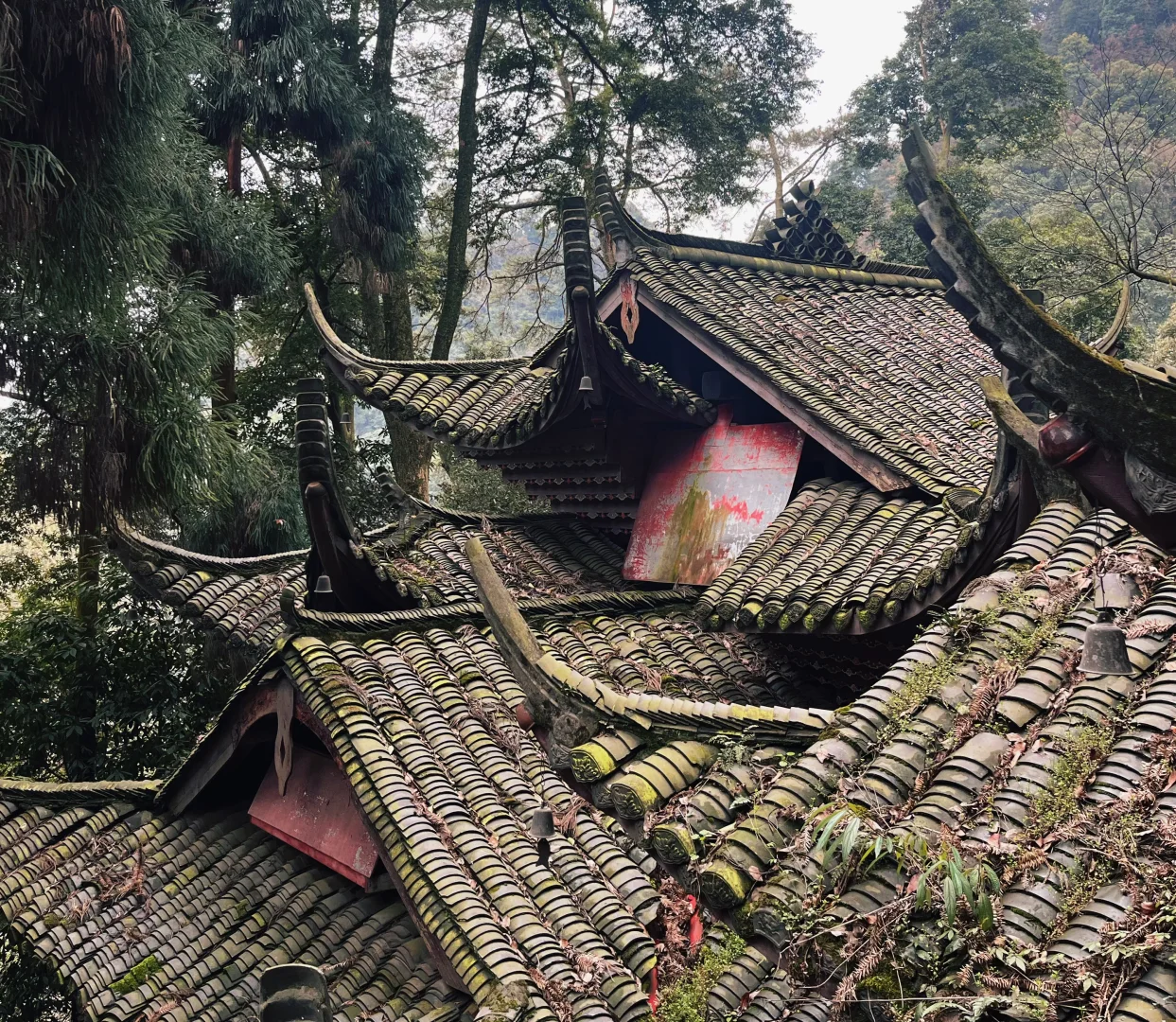 特种兵之一日行程2个景点