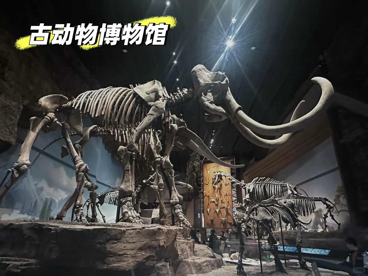 河北保定旅游攻略 一定要去的9个景点