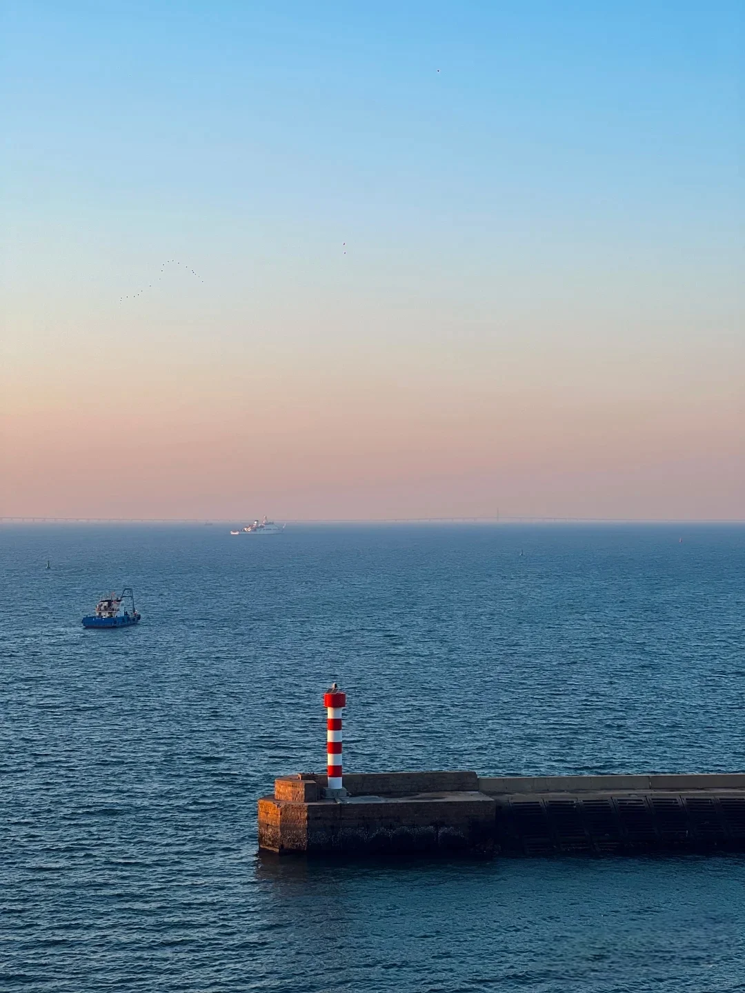 来青岛看海啦！