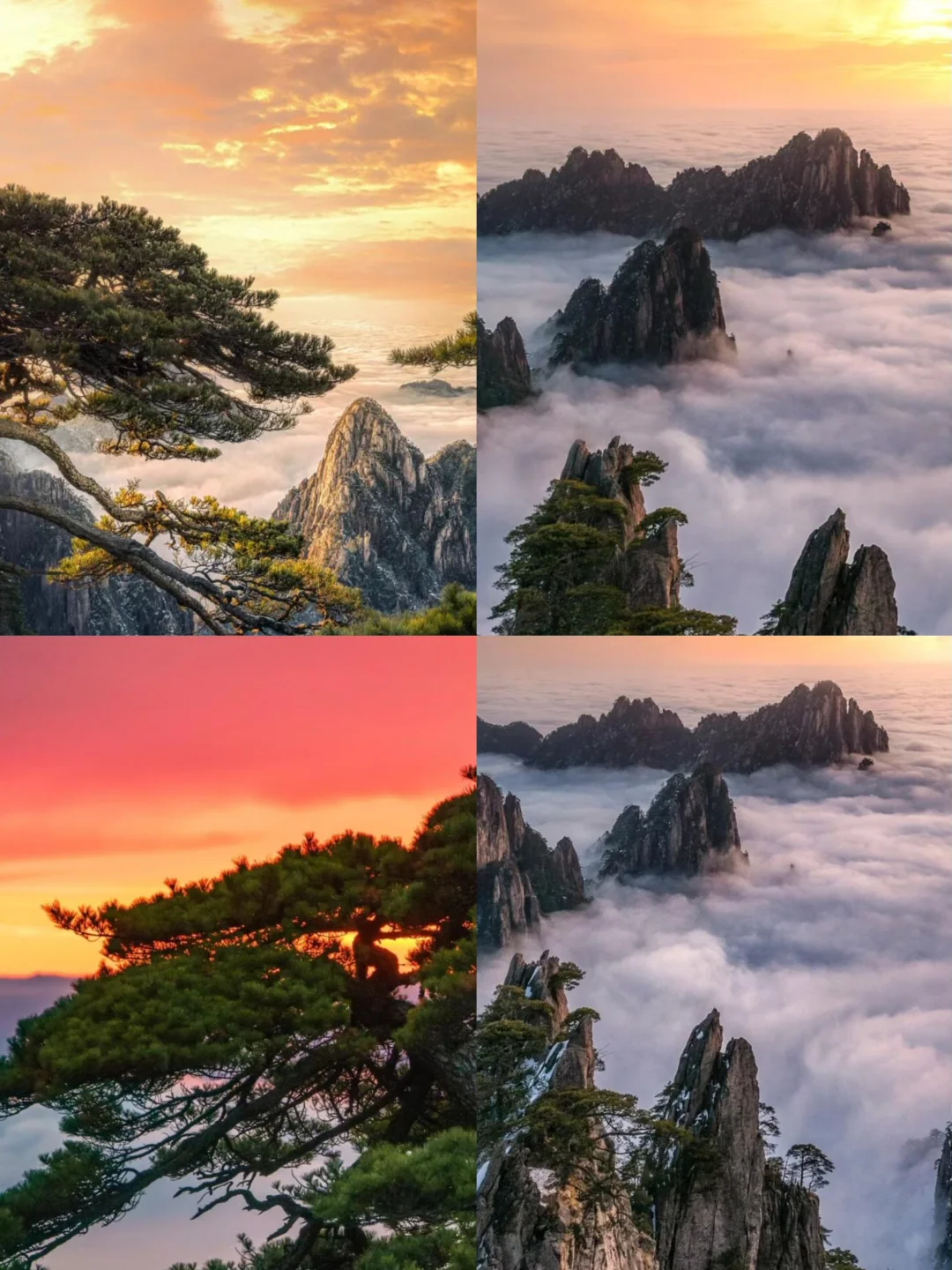 🌈安徽皖南| 3-4月来真的很香，人少景美！