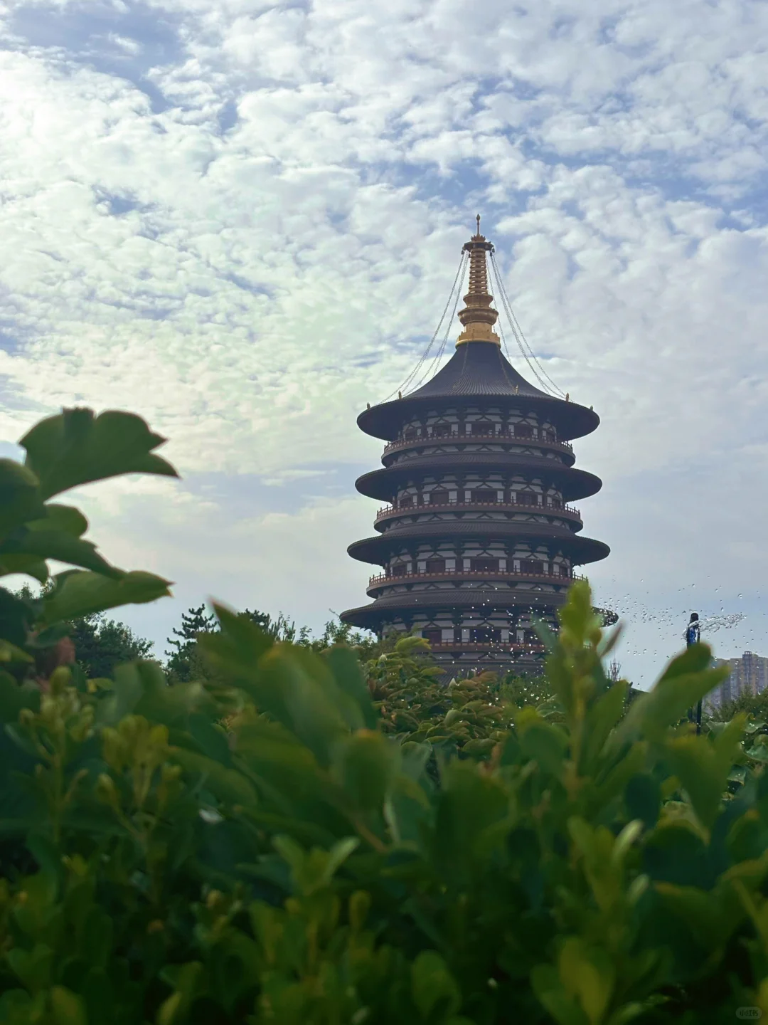 4月去洛阳旅游，我想说几句大实话