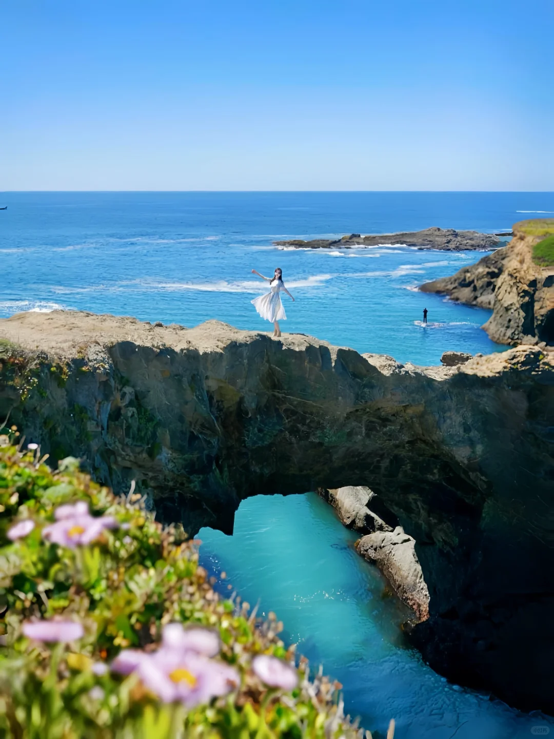 加州春日的Mendocino简直是人间理想！🌊🌸