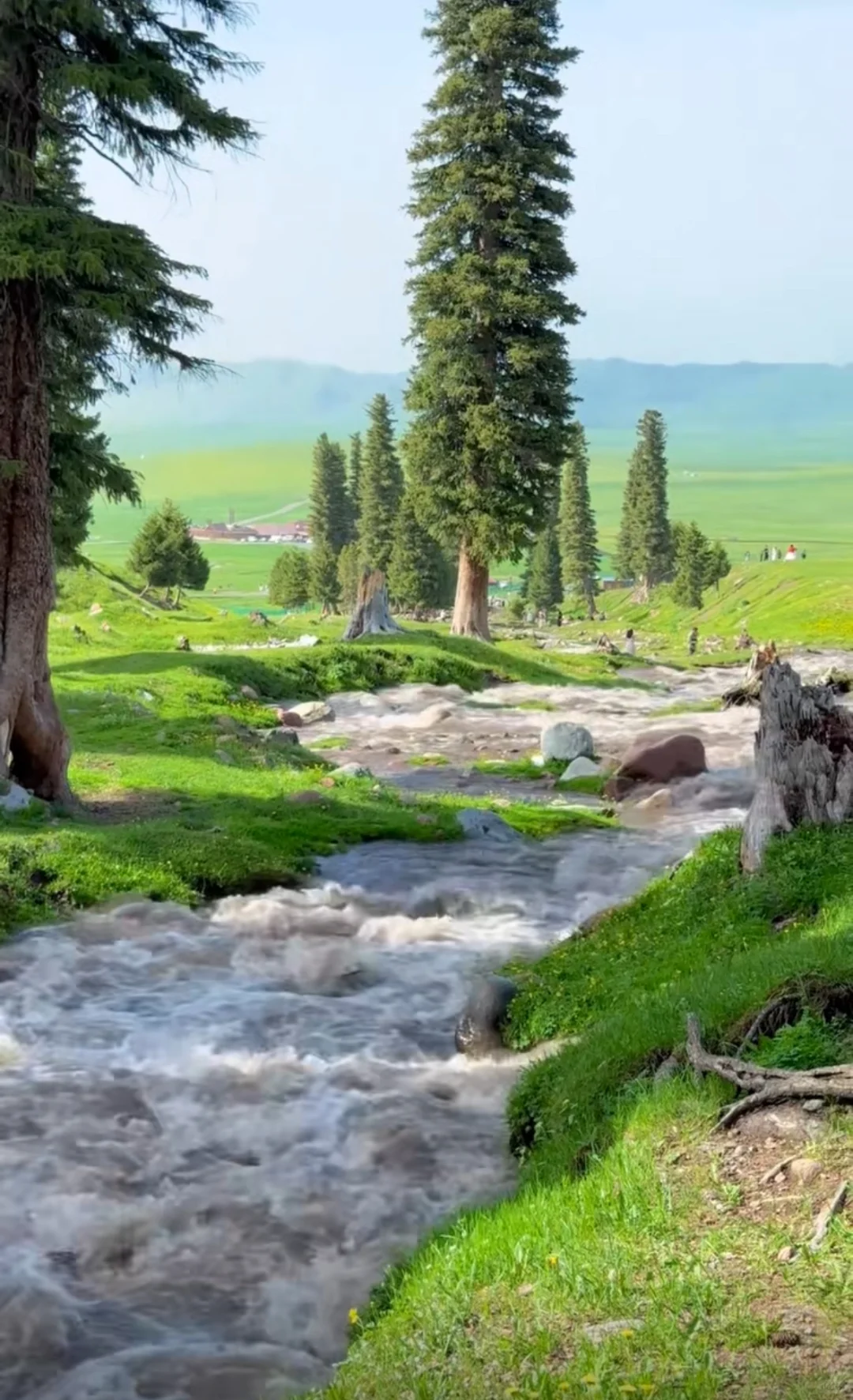 新疆北疆旅游攻略