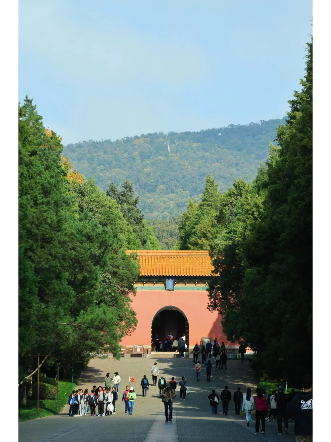 南京旅游攻略 | 一趟玩不够的金陵之旅🎈