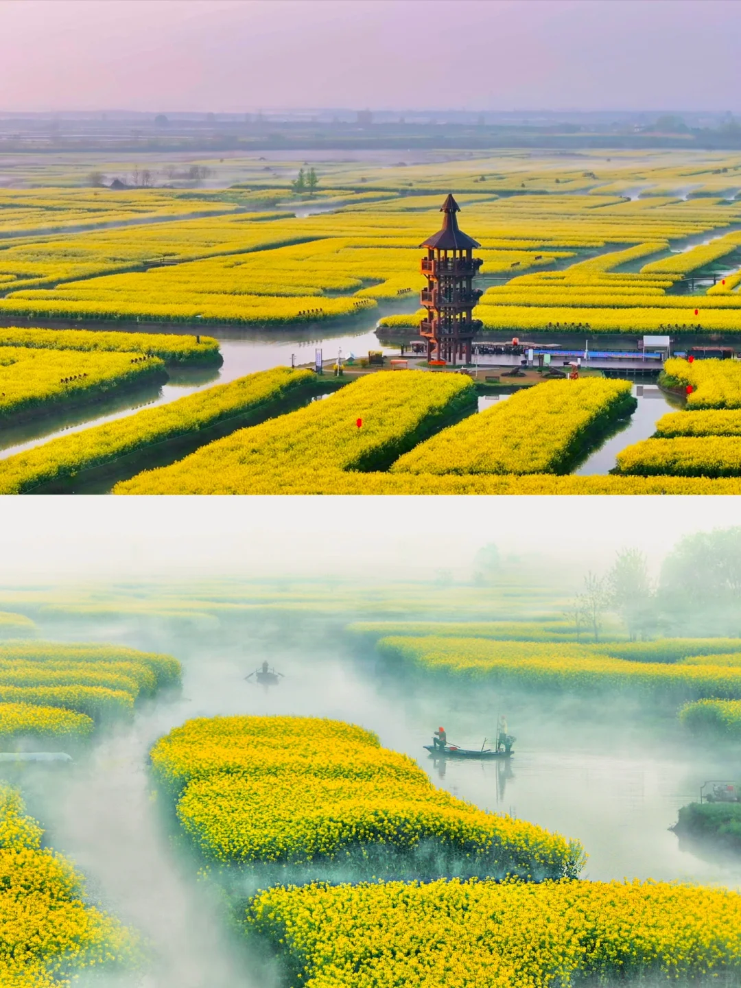 以为扬州真的已经够美了，直到我去了趟兴化