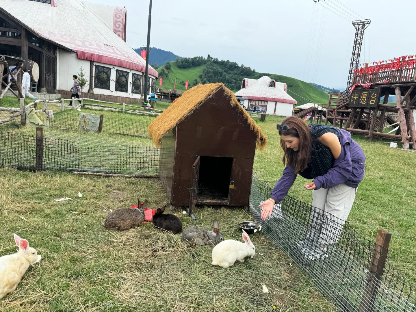 独享一片绿☔️