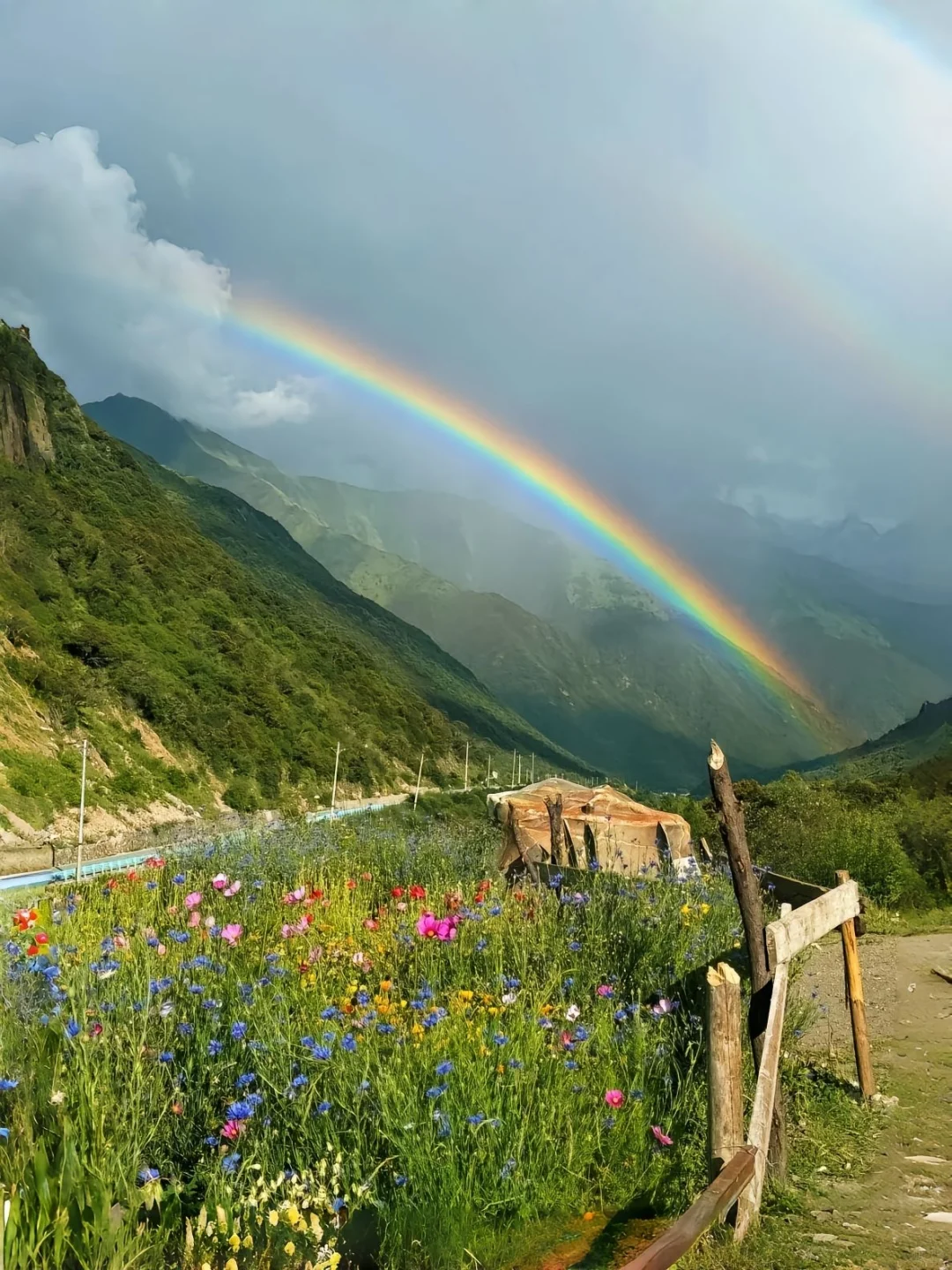 夏天的川西直接封神！！！