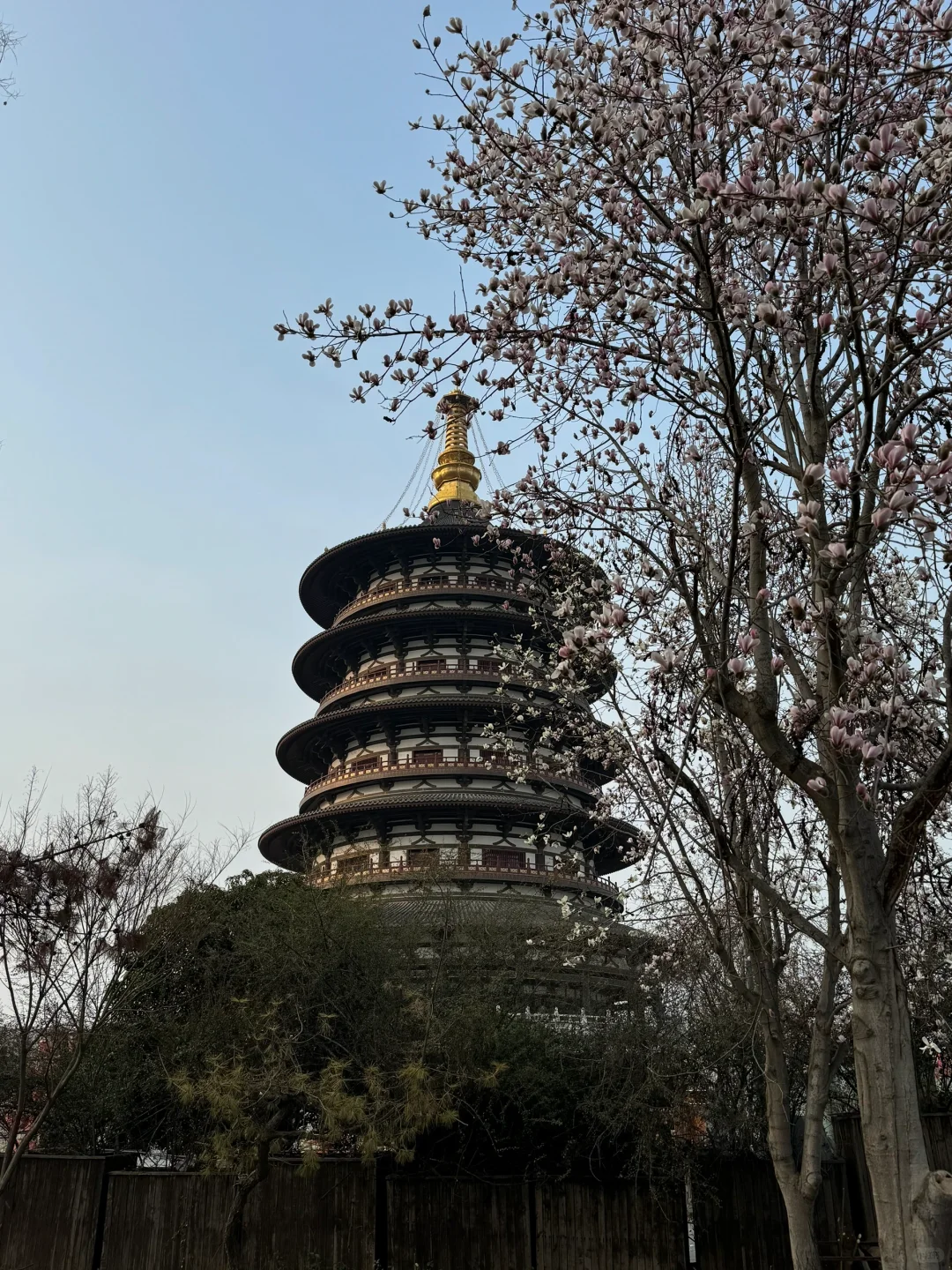 洛阳3日游：在这座韵味悠长的古城走走停停