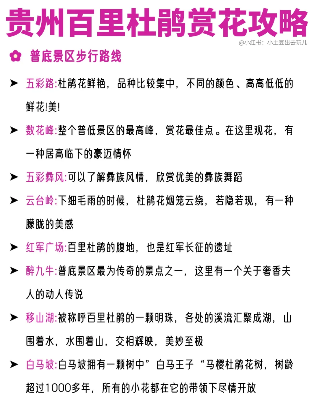 百里杜鹃3月22日开园！免门票可线上预约！