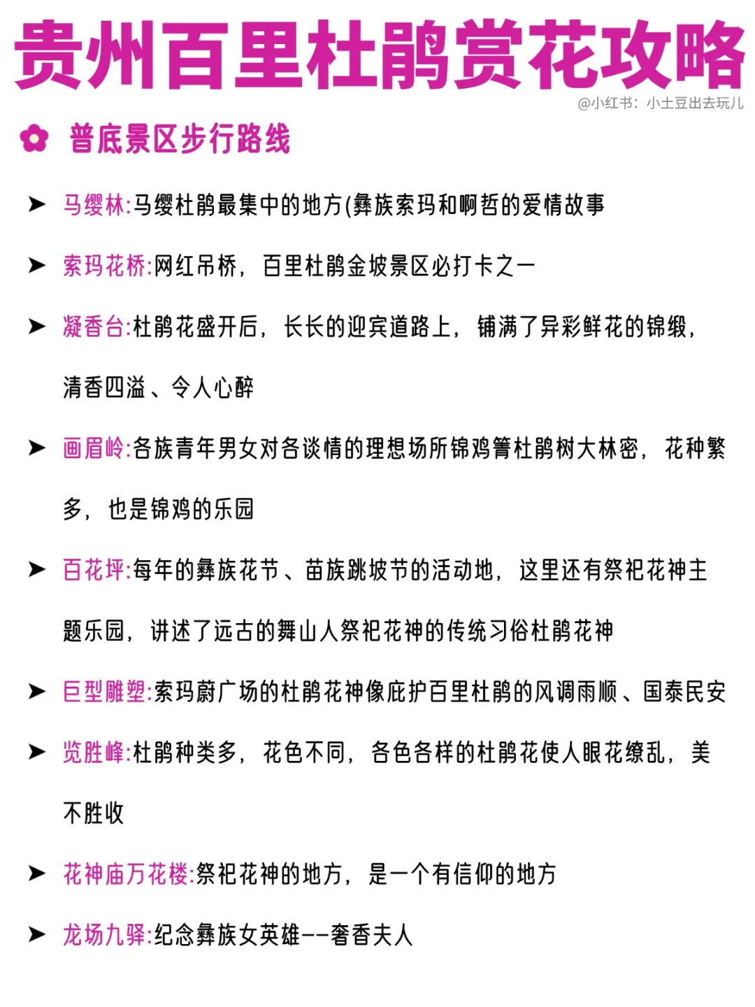 百里杜鹃3月22日开园！免门票可线上预约！