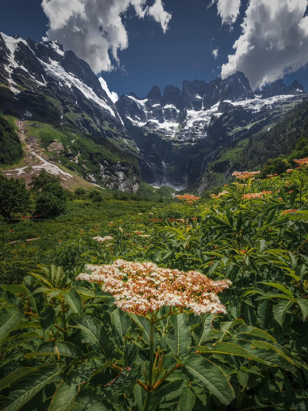 雨崩已回，这里真的只有零次和无数次