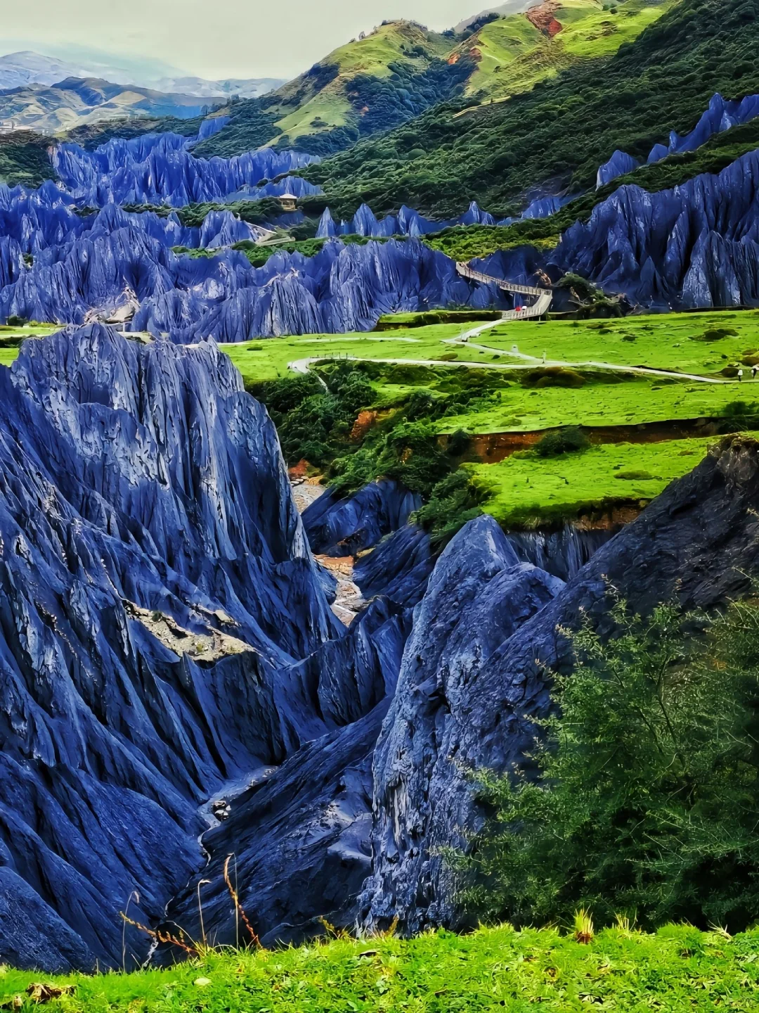 夏天的川西直接封神！！！