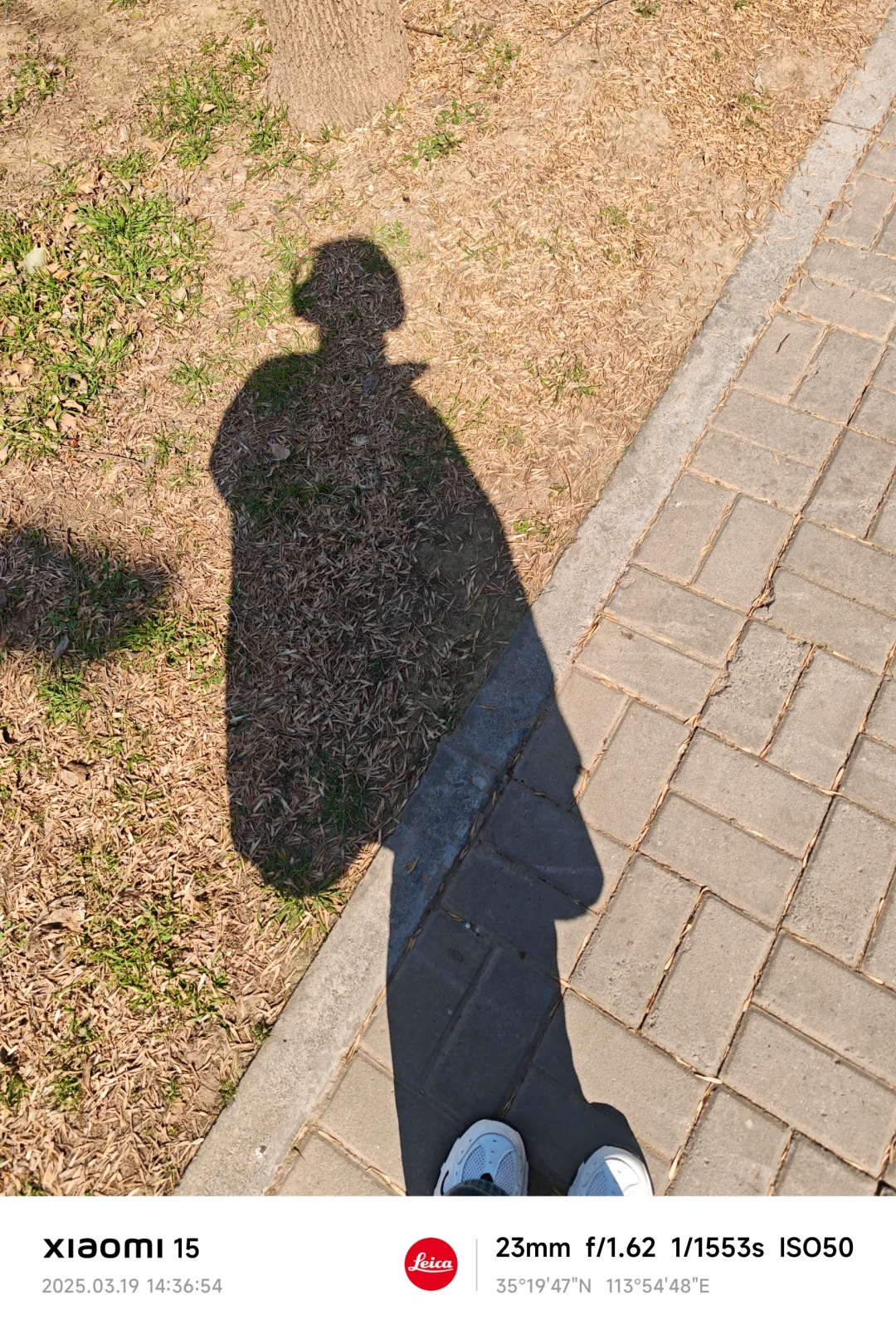 兴安盟的春天有它也会很美🌸