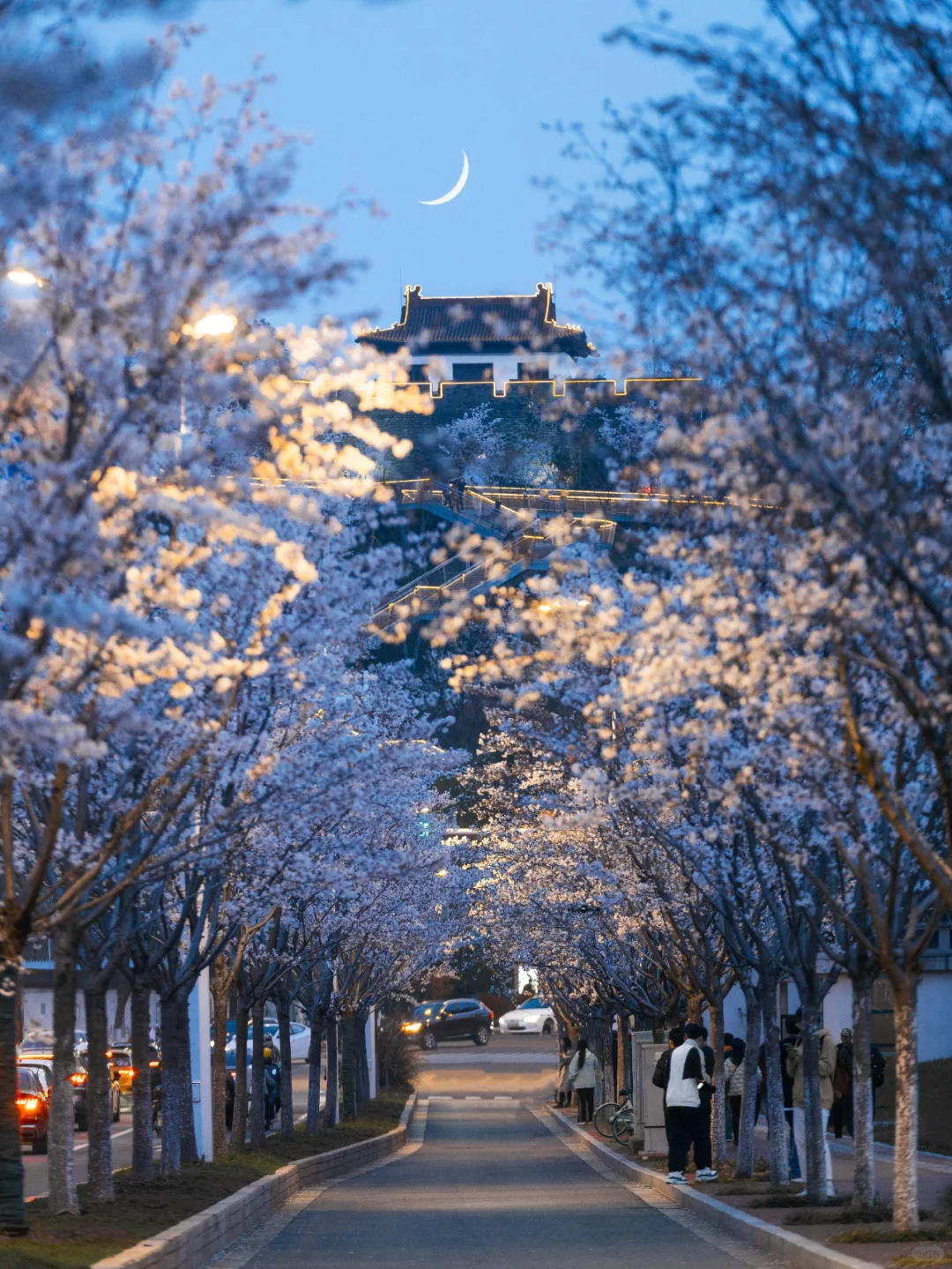 南京旅游攻略 | 一趟玩不够的金陵之旅🎈