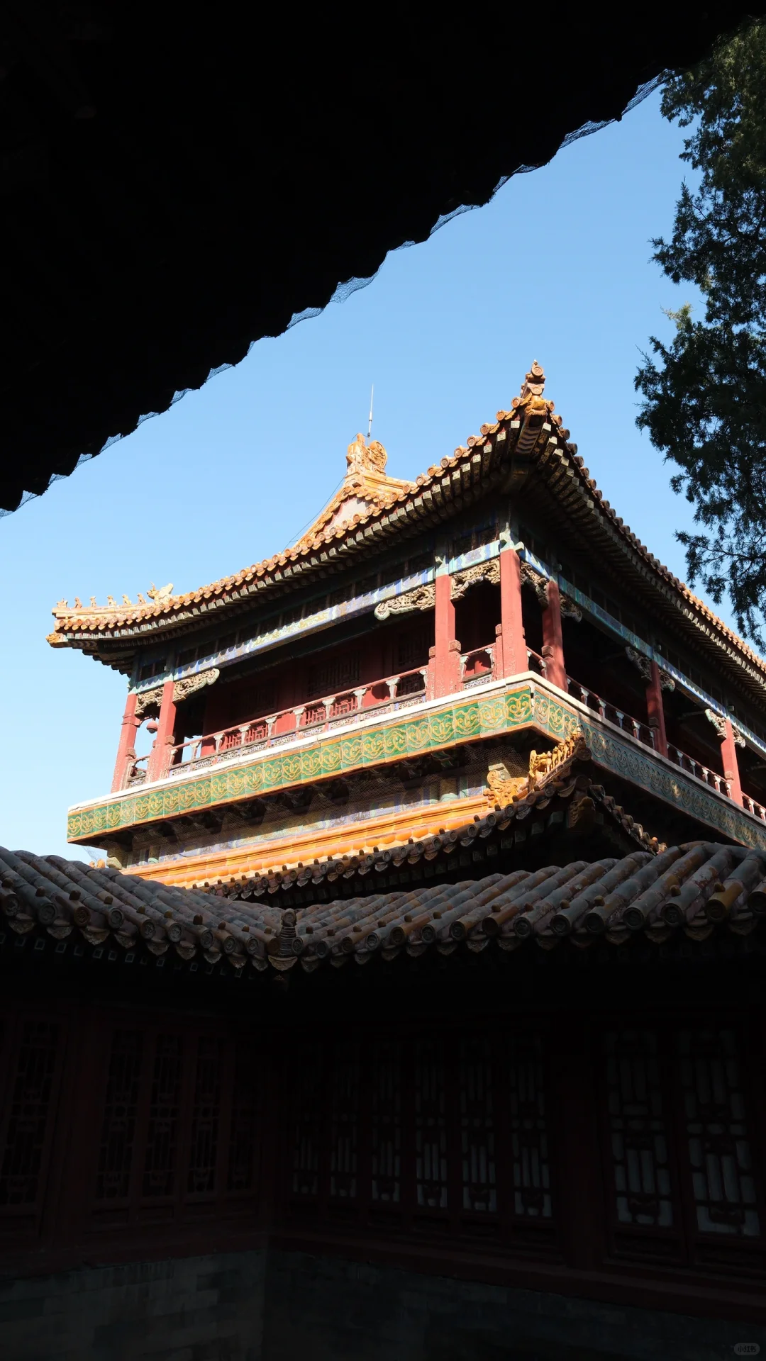 🏮北京故宫博物院 | 40元探秘24位皇帝的家