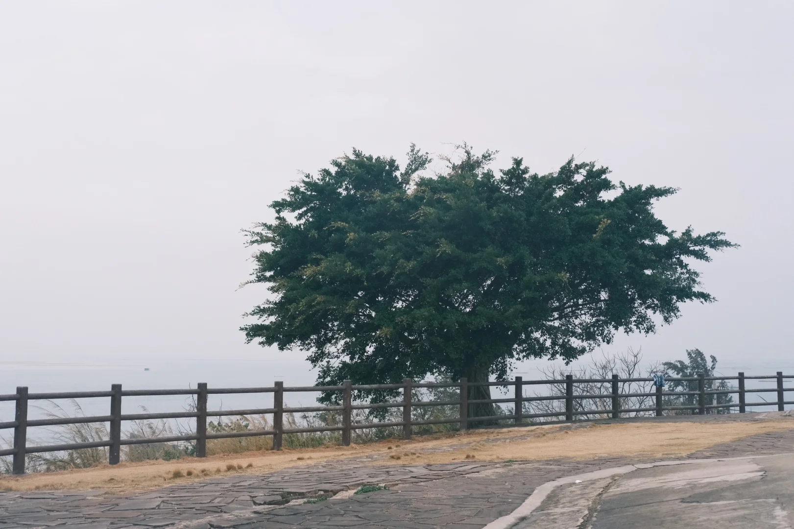 我在防城港上春山 | 半日游自驾🚙