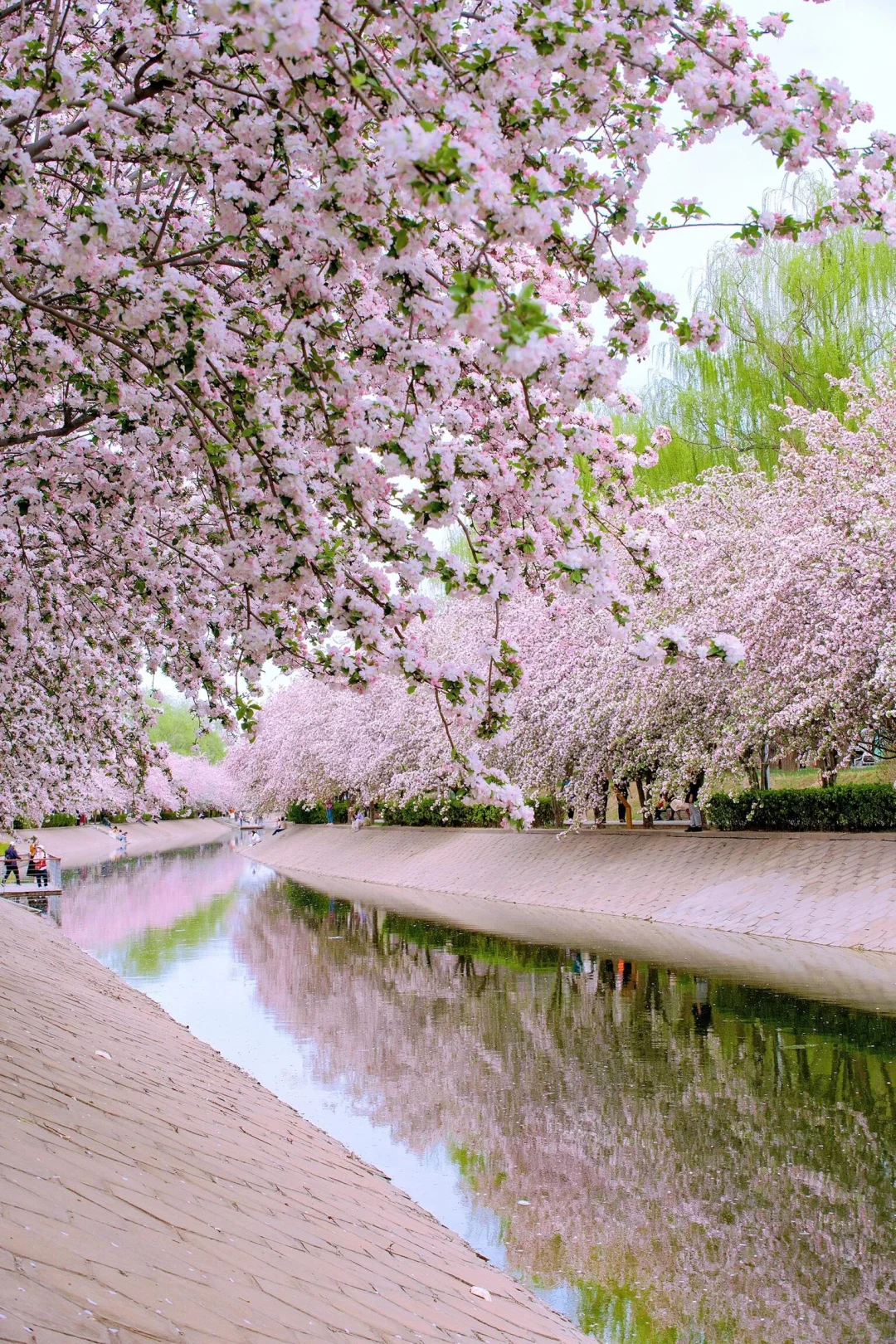 总要去趟北京吧✨ 赴一场和首都的约会