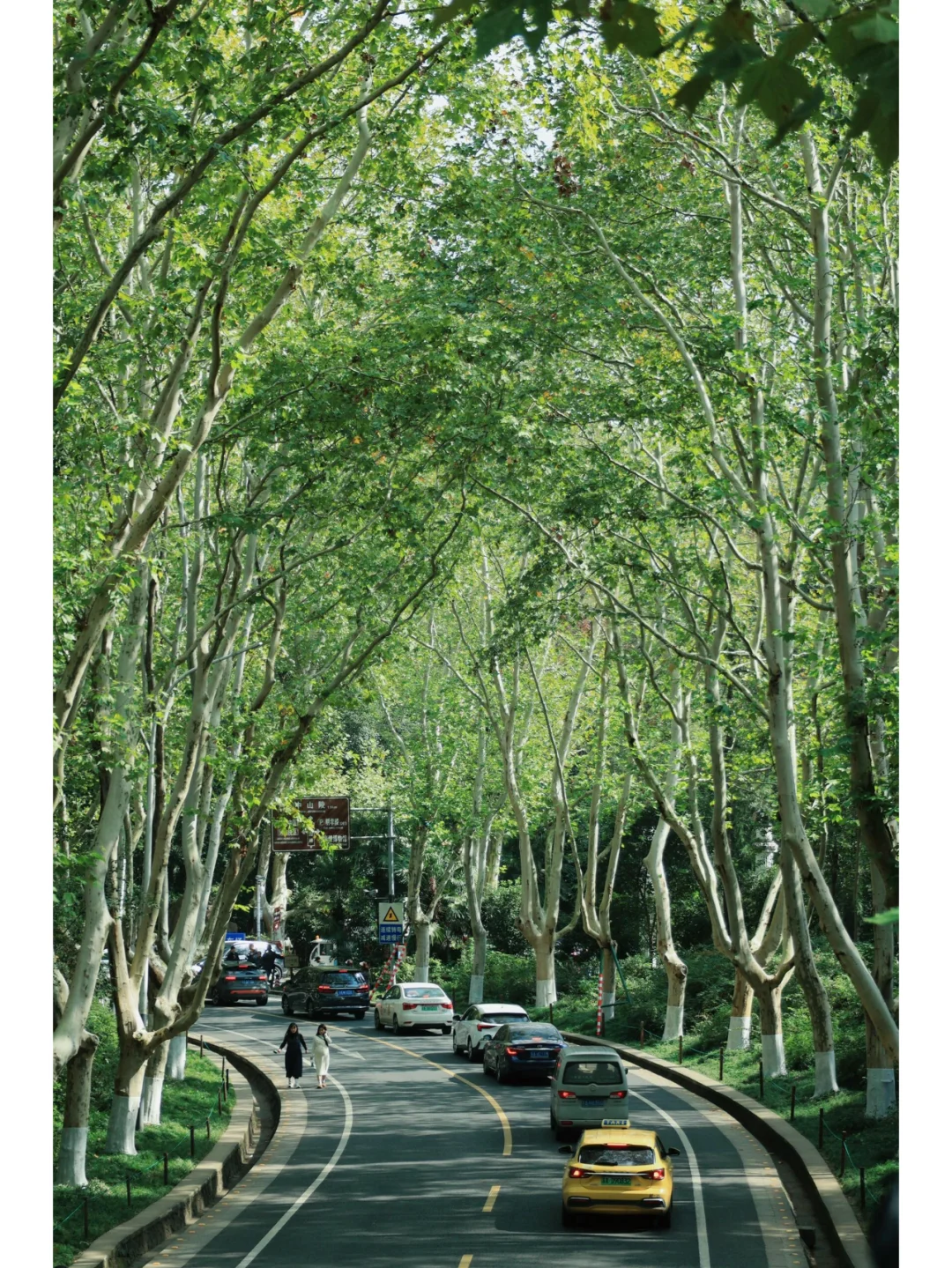 南京旅游攻略 | 一趟玩不够的金陵之旅🎈