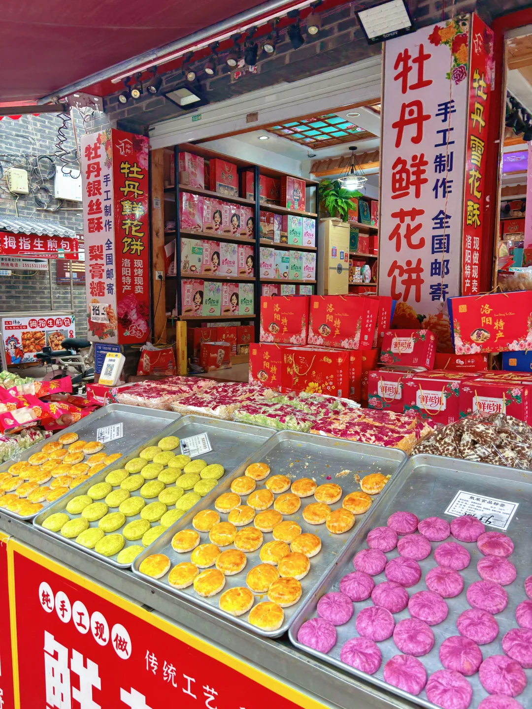 4月去洛阳旅游，我想说几句大实话