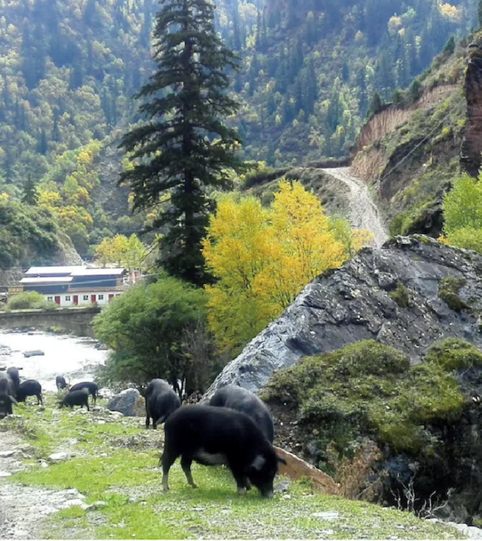 被甘加秘境狠狠拿捏了!西北小众宝藏地