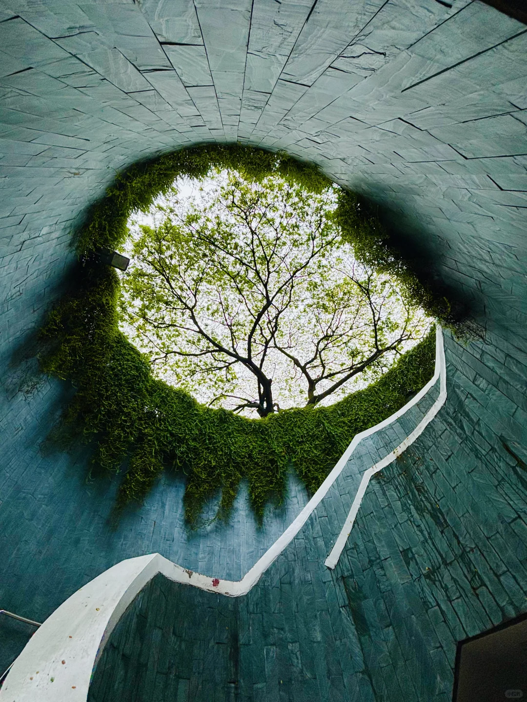 新加坡citywalk🏃🏻‍♂️4日游☘️