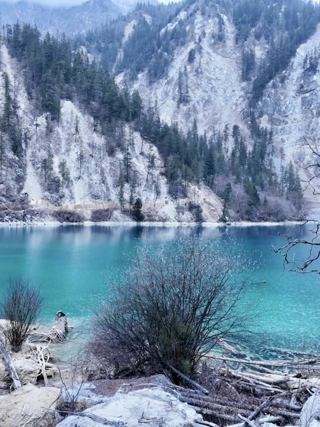 3.14📍九寨沟已回，live实况直出，劝退不了