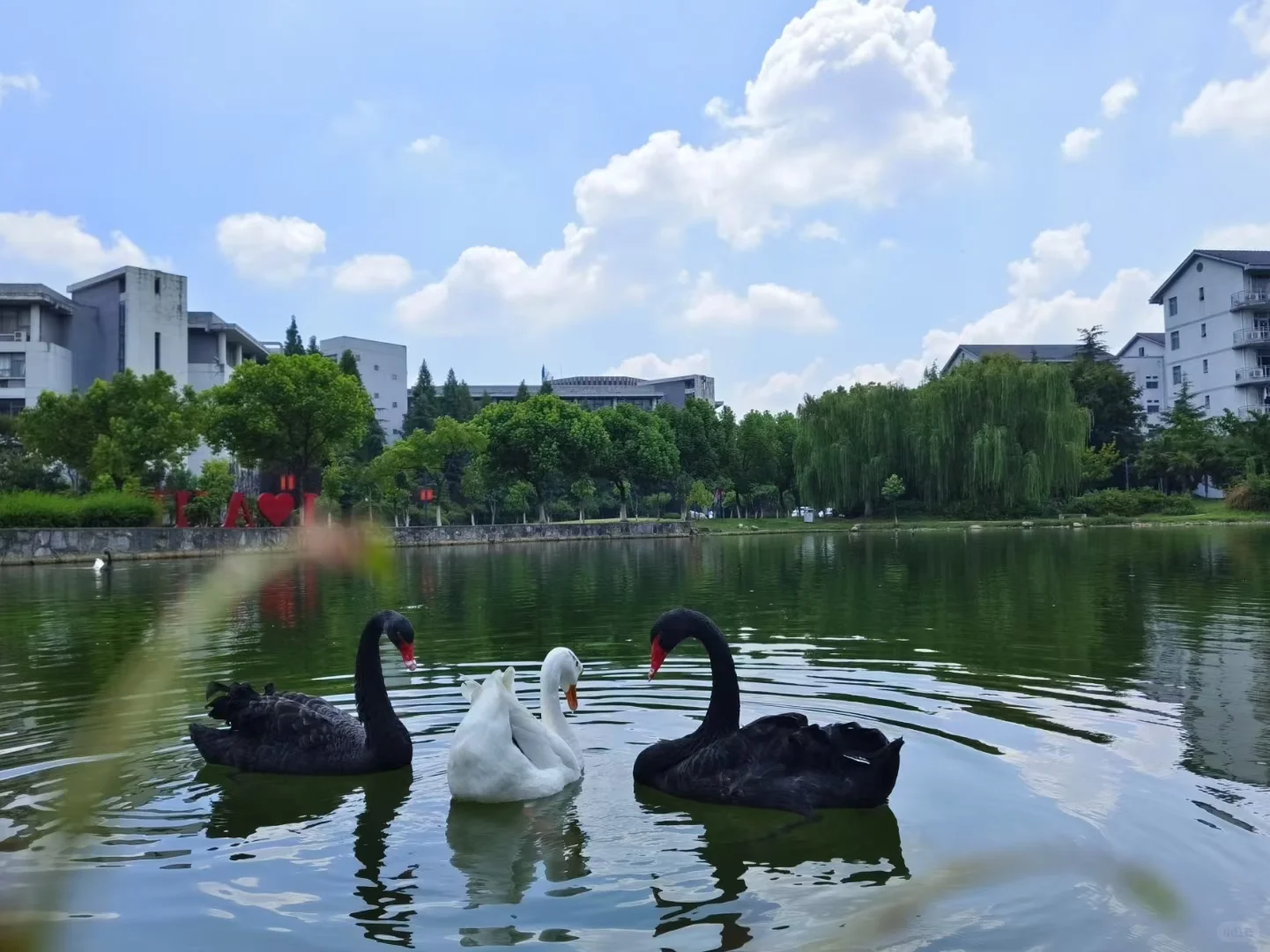 自然之美宁静的环境