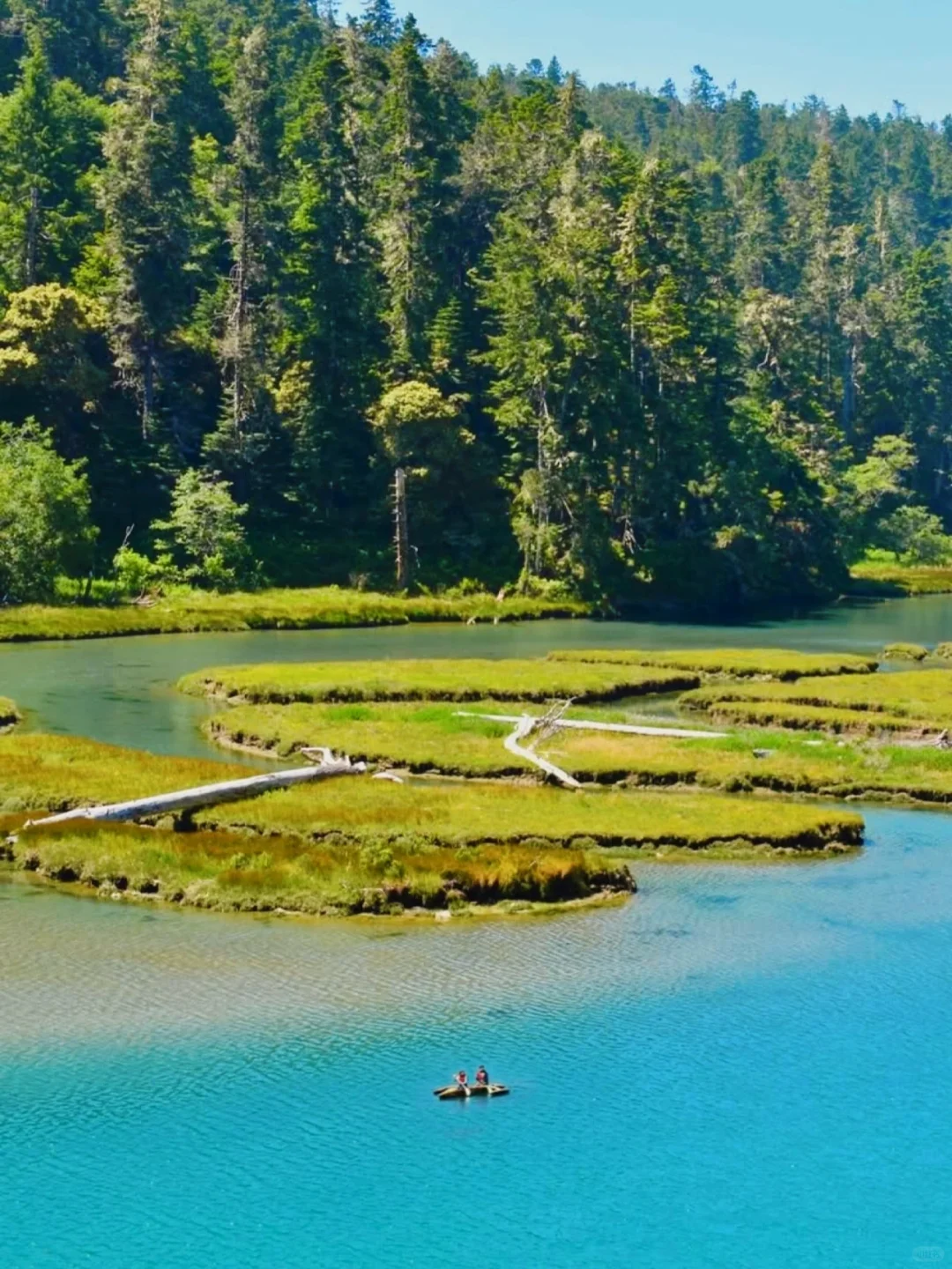 加州春日的Mendocino简直是人间理想！🌊🌸
