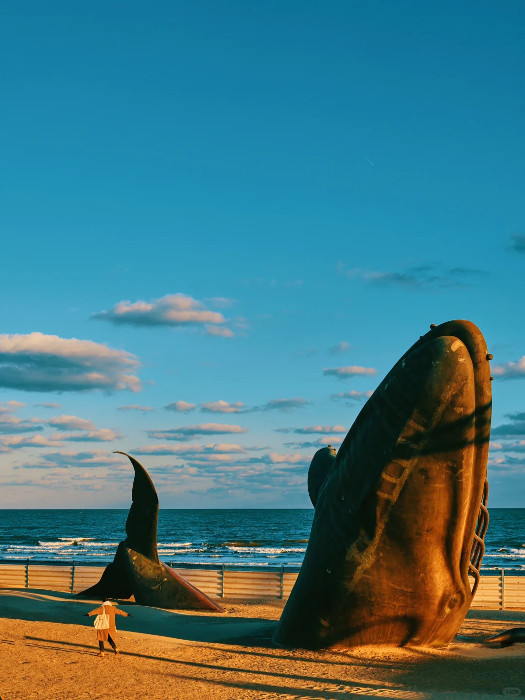 第一次来烟台，请直接复制这条二日游路线