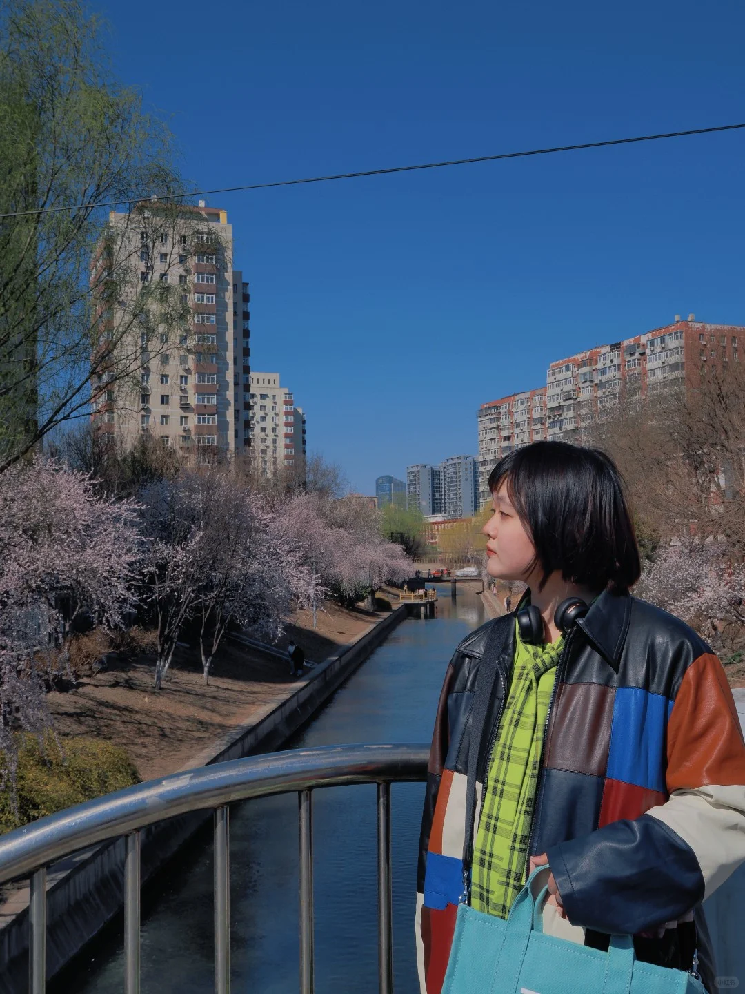 就是说北京的花已经next level了