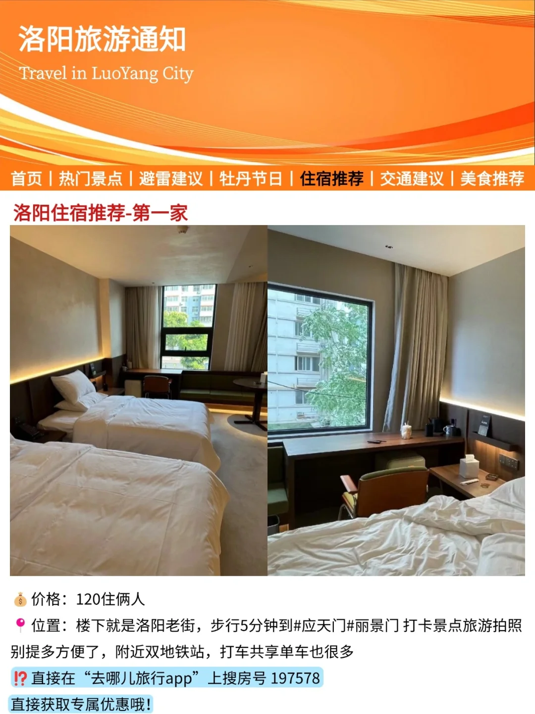 洛阳旅游通知！幸好提前看到了😭超全避雷