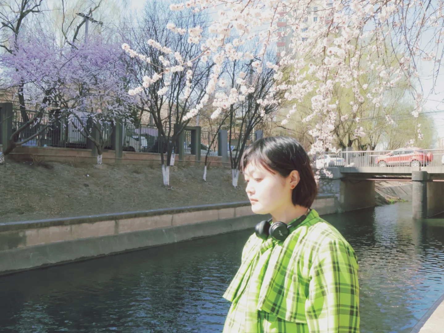 就是说北京的花已经next level了