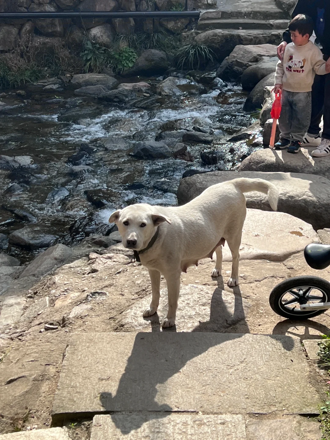 三月松阳,人间仙境