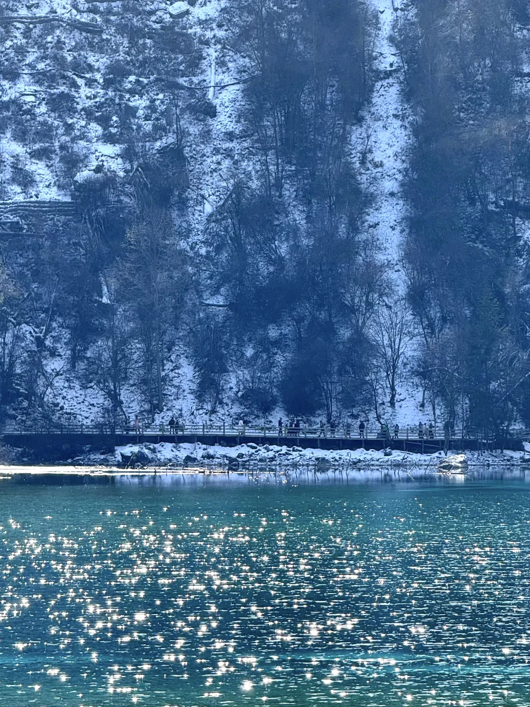 3.14📍九寨沟已回，live实况直出，劝退不了