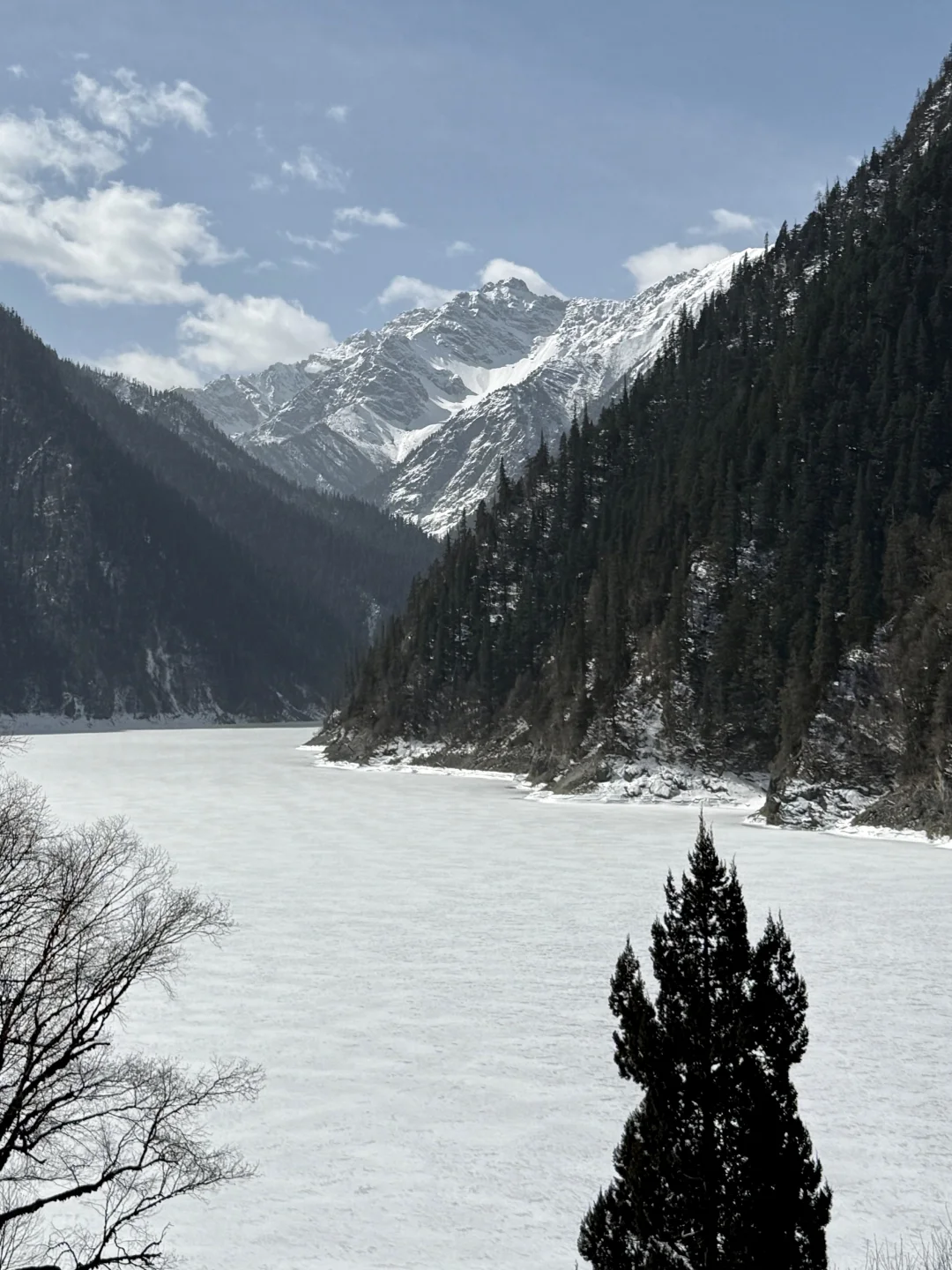 3.14📍九寨沟已回，live实况直出，劝退不了