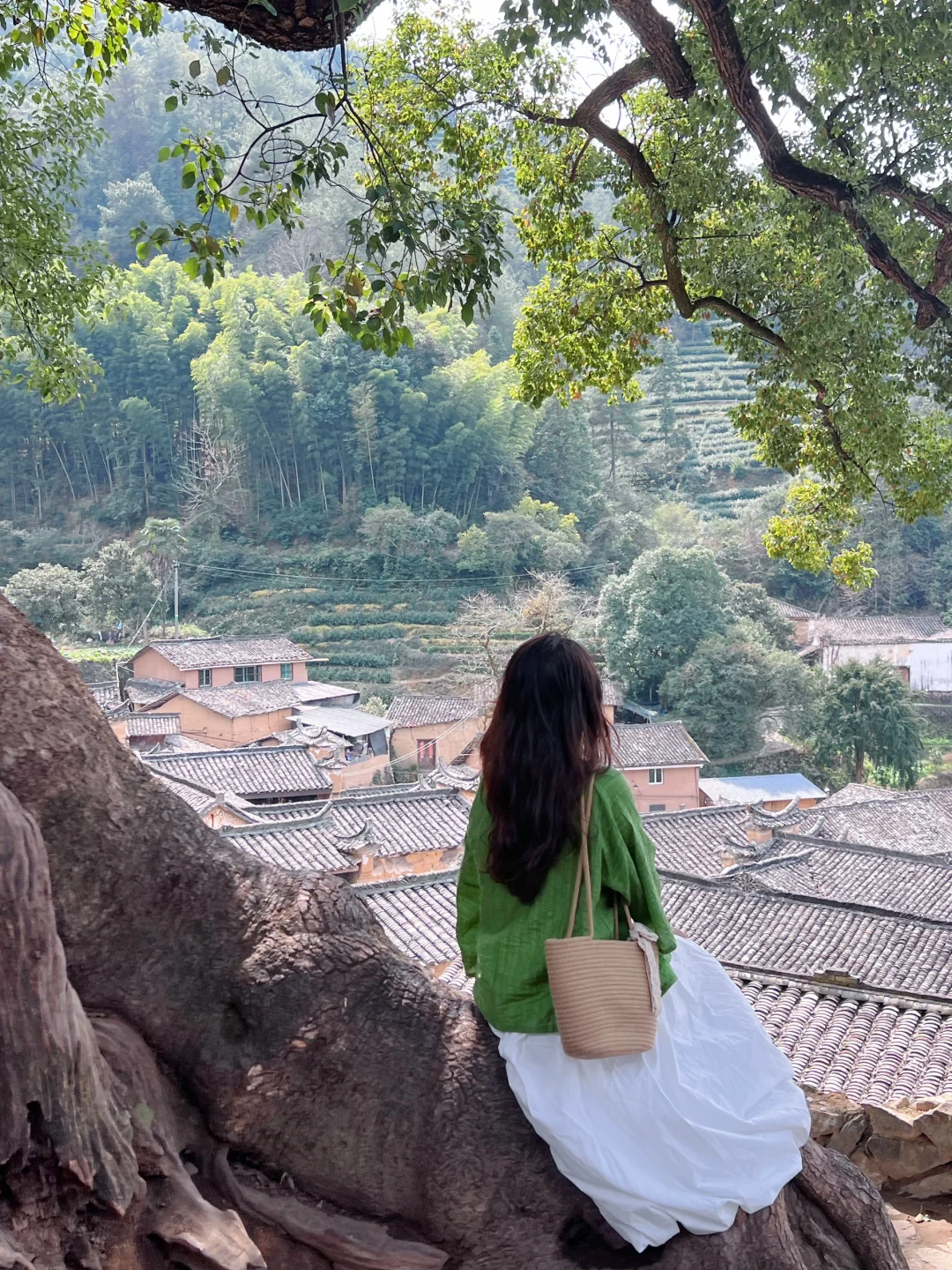 三月松阳,人间仙境