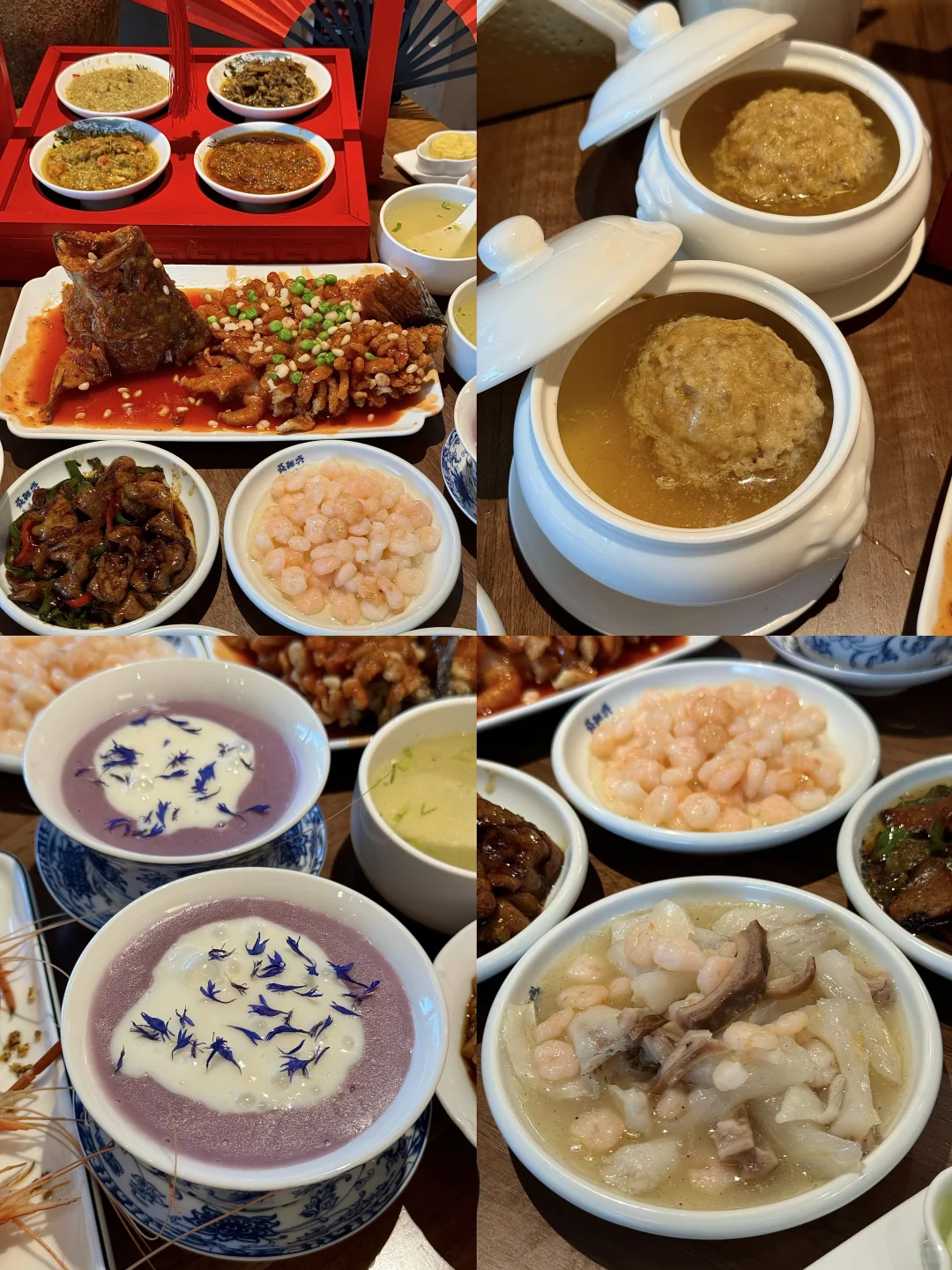 接下来的苏州❗️堪称国内春日旅行天花板