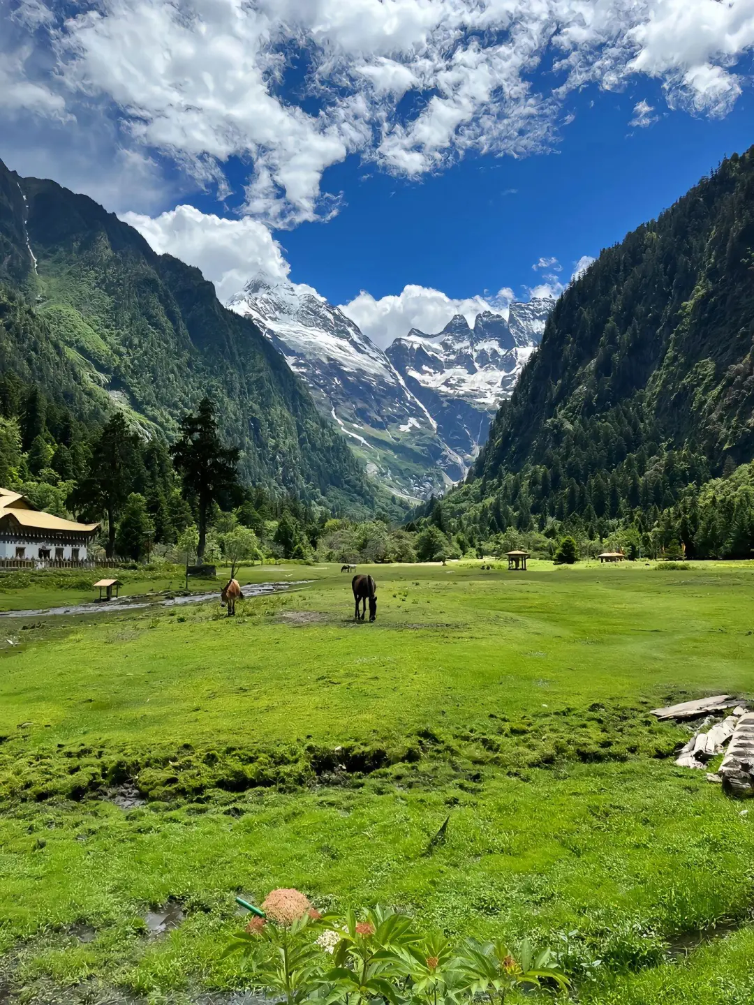 雨崩已回，这里真的只有零次和无数次